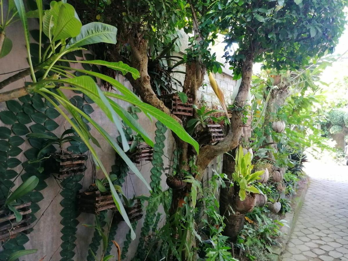 Coliving Bali Sweet Home Kost Lengkap Di Tabanan Kota Exterior photo
