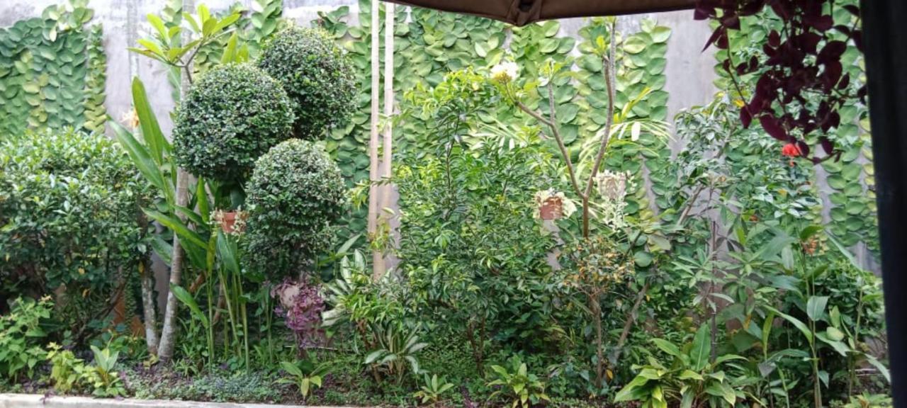 Coliving Bali Sweet Home Kost Lengkap Di Tabanan Kota Exterior photo