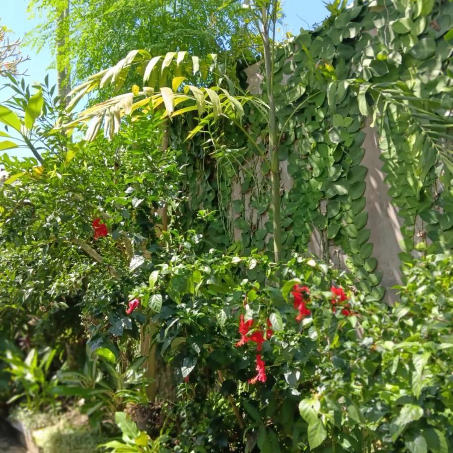 Coliving Bali Sweet Home Kost Lengkap Di Tabanan Kota Exterior photo