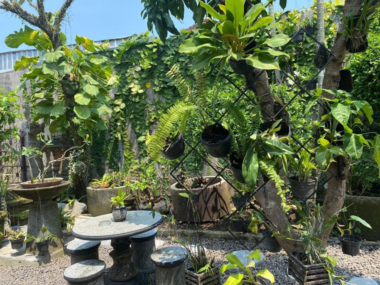 Coliving Bali Sweet Home Kost Lengkap Di Tabanan Kota Exterior photo